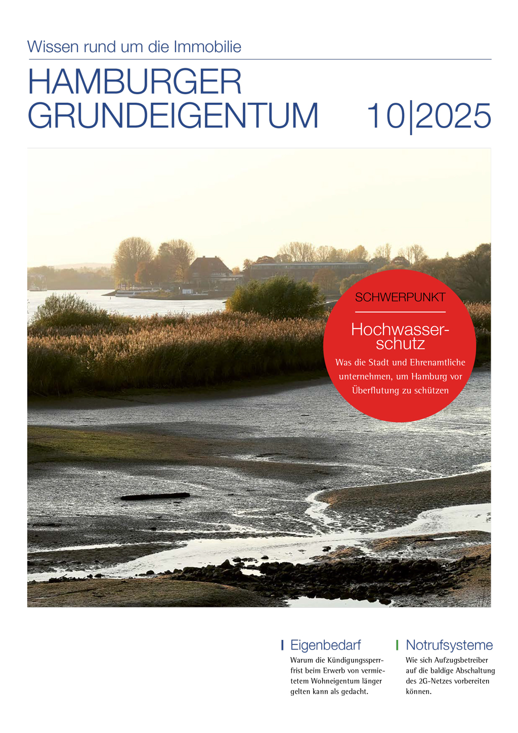 Titelseite des Hamburger Grungeigentums 10/25